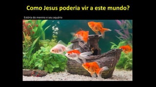 Como Jesus poderia vir a este mundo?
Estória do menino e seu aquário
 