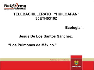 TELEBACHILLERATO   “HUILOAPAN”30ETH0310Z Ecología i. Jesús De Los Santos Sánchez. “Los Pulmones de México.” 