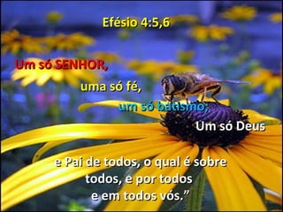Efésio 4:5,6

Um só SENHOR,
         uma só fé,
              um só batismo;
                          Um só Deus

     e Pai de todos, o qual é sobre
           todos, e por todos
            e em todos vós.”
 