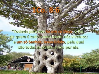 1Co. 8:6

 “Todavia para nós há um só Deus, o Pai,
de quem é tudo e para quem nós vivemos;
  e um só Senhor, Jesus Cristo, pelo qual
     são todas as coisas, e nós por ele.
 