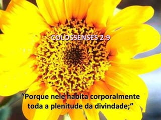 COLOSSENSES 2:9




“Porque nele habita corporalmente
  toda a plenitude da divindade;”
 