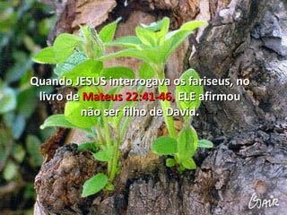 Quando JESUS interrogava os fariseus, no
 livro de Mateus 22:41-46, ELE afirmou
         não ser filho de David.
 