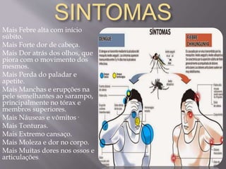 Mais Febre alta com início
súbito.
Mais Forte dor de cabeça.
Mais Dor atrás dos olhos, que
piora com o movimento dos
mesmos.
Mais Perda do paladar e
apetite.
Mais Manchas e erupções na
pele semelhantes ao sarampo,
principalmente no tórax e
membros superiores.
Mais Náuseas e vômitos·
Mais Tonturas.
Mais Extremo cansaço.
Mais Moleza e dor no corpo.
Mais Muitas dores nos ossos e
articulações.
SINTOMAS
 