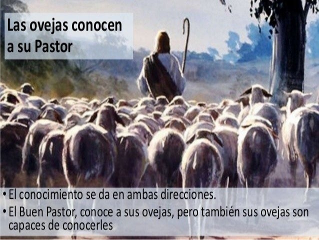 Resultado de imagen de jesus se presenta como el buen pastor