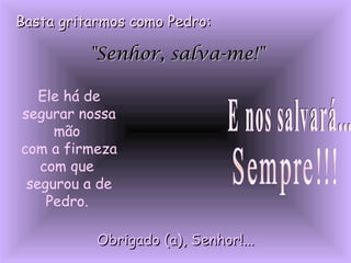 Basta gritarmos como Pedro:Basta gritarmos como Pedro:
"Senhor, salva-me!""Senhor, salva-me!"
Ele há de
segurar nossa
mão
com a firmeza
com que
segurou a de
Pedro.
Obrigado (a), Senhor!...Obrigado (a), Senhor!...
 