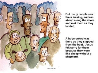 But many people saw them leaving, and ran ahead along the shore and met them as they landed.   A huge crowd was there as they stepped from the boat.  Jesus felt sorry for them because they were like sheep without a shepherd .   