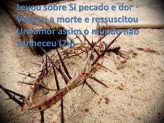 Levou sobre Si pecado e dor
Venceu a morte e ressuscitou
Um amor assim o mundo não
conheceu (2x)
 