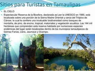 Sitios para Turistas en Tamaulipas
 EL CIELO
 Espectacular Reserva de la Biosfera, declarada así por la UNESCO en 1985, está
localizada sobre una porción de la Sierra Madre Oriental y cerca del Trópico de
Cáncer, lo cual le confiere una invaluable biodiversidad como bosques de
montaña, de pino, de encino, tropical, matorrales y vegetación acuática. Las 144 mil
hectáreas que comprenden esta reserva habitada por numerosas especies
endémicas del lugar están localizadas dentro de los municipios tamaulipecos de
Gómez Farías, Llera, Jaumave y Ocampo.
 