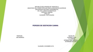 REPUBLICA BOLIVARIANA DE VENEZUELA
MINISTERIO DEL PODER POPULAR PARA LA EDUCACION SUPERIOR
UNIVERSIDAD NACIONAL EXPERIMENTAL
DE LOS LLANOS OCCIDENTALES
EZEQUIEL ZAMORA
“UNELLEZ”
GUANARE- PORTUGUESA
PERIODO DE GESTACION CANINA
PROFESOR: BACHILLER:
JOSE MENDOZA CALDERON JESUS
CI: 27509576
INTRODUCTORIO MEDICINA
VETERINARIA SECCION A
GUANARE, DICIEMBRE 2019
 