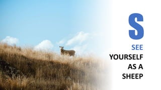 S
SEE
YOURSELF
AS A
SHEEP
 