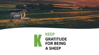 K
KEEP
GRATITUDE
FOR BEING
A SHEEP
 