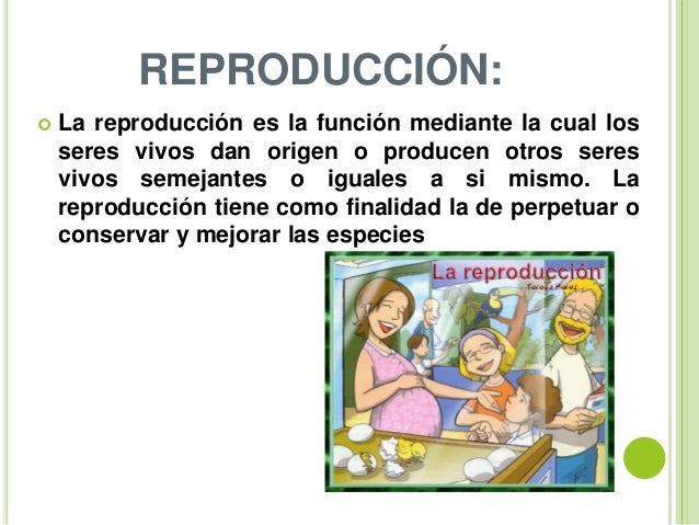 REPRODUCCIÓN EN LOS SERES VIVOS