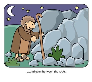 …and even between the rocks.
 