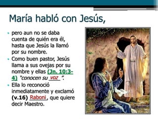 María habló con Jesús,
• pero aun no se daba
cuenta de quién era él,
hasta que Jesús la llamó
por su nombre.
• Como buen pastor, Jesús
llama a sus ovejas por su
nombre y ellas (Jn. 10:3-
4) “conocen su ____”.
• Ella lo reconoció
inmediatamente y exclamó
(v.16) ______, que quiere
decir Maestro.
voz
Raboni
 