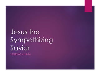 Jesus the
Sympathizing
Savior
HEBREWS 4:14-16
 