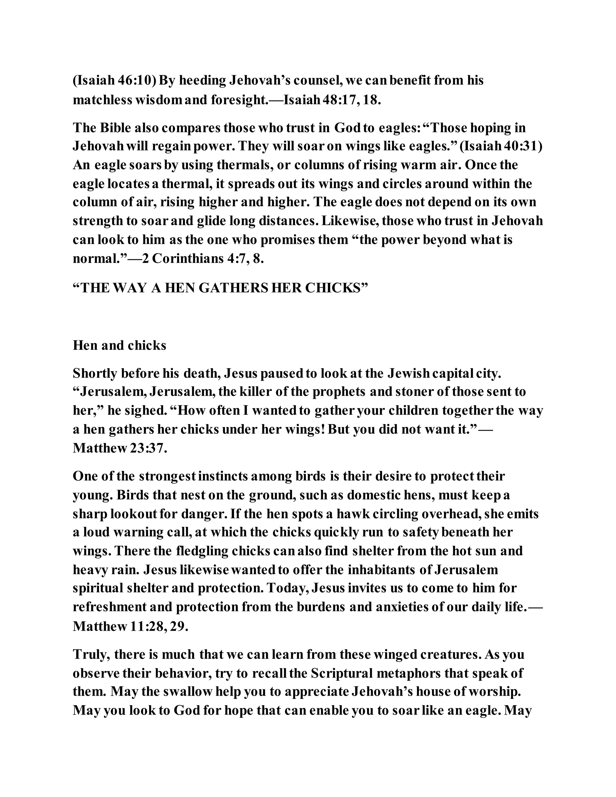 (Isaiah 46:10)By heeding Jehovah’s counsel, we canbenefit from his
matchless wisdomand foresight.—Isaiah48:17, 18.
The Bible also compares those who trust in Godto eagles:“Those hoping in
Jehovahwill regainpower. They will soaron wings like eagles.”(Isaiah40:31)
An eagle soarsby using thermals, or columns of rising warm air. Once the
eagle locatesa thermal, it spreads out its wings and circles around within the
column of air, rising higher and higher. The eagle does not depend on its own
strength to soarand glide long distances. Likewise, those who trust in Jehovah
can look to him as the one who promises them “the power beyond what is
normal.”—2 Corinthians 4:7, 8.
“THE WAY A HEN GATHERS HER CHICKS”
Hen and chicks
Shortly before his death, Jesus pausedto look at the Jewishcapitalcity.
“Jerusalem, Jerusalem, the killer of the prophets and stoner of those sent to
her,” he sighed. “How often I wantedto gatheryour children togetherthe way
a hen gathers her chicks under her wings!But you did not want it.”—
Matthew 23:37.
One of the strongestinstincts among birds is their desire to protecttheir
young. Birds that nest on the ground, such as domestic hens, must keepa
sharp lookoutfor danger. If the hen spots a hawk circling overhead, she emits
a loud warning call, at which the chicks quickly run to safetybeneath her
wings. There the fledgling chicks canalso find shelter from the hot sun and
heavy rain. Jesus likewisewantedto offer the inhabitants of Jerusalem
spiritual shelter and protection. Today, Jesus invites us to come to him for
refreshment and protection from the burdens and anxieties of our daily life.—
Matthew 11:28, 29.
Truly, there is much that we can learn from these winged creatures. As you
observe their behavior, try to recallthe Scriptural metaphors that speak of
them. May the swallow help you to appreciate Jehovah’s house of worship.
May you look to God for hope that can enable you to soarlike an eagle. May
 