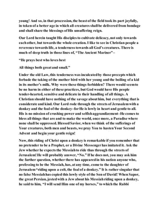 young! And so, in that procession, the beastof the field took its part joyfully,
in token of a better age in which all creatures shallbe delivered from bondage
and shall share the blessings ofHis unsuffering reign.
Our Lord herein taught His disciples to cultivate delicacy, not only towards
eachother, but towards the whole creation. I like to see in Christian people a
reverence towards life, a tenderness towards all God’s creatures. There is
much of deep truth in those lines of, “The Ancient Mariner”–
“He prays best who loves best
All things both greatand small.”
Under the old Law, this tenderness was inculcatedby those precepts which
forbade the taking of the mother bird with her young and the boiling of a kid
in its mother’s milk. Why were these things forbidden? There would seemto
be no harm in either of these practices, but God would have His people
tender-hearted, sensitive and delicate in their handling of all things. A
Christian should have nothing of the savage abouthim, but everything that is
considerate and kind. Our Lord rode through the streets of Jerusalemwith a
donkey and the foal of the donkey–forHe is lowly in heart and gentle to all.
His is no mission of crushing power and selfishaggrandizement–He comes to
bless all things that are and to make the world, once more, a Paradise where
none shall be oppressed. BlessedSavior, when we think of the sufferings of
Your creatures, both men and beasts, we pray You to hastenYour Second
Advent and begin your gentle reign!
Now, this riding of Christ upon a donkey is remarkable if you remember that
no pretender to be a Prophet, or a Divine Messengerhas imitated it. Ask the
Jew whether he expects the Messiahto ride thus through the streets of
Jerusalem!He will probably answer, “No.” If he does not, you may ask him
the further question, whether there has appearedin his nation anyone who,
professing to be the Messiah, has, atany time, come to the daughter of
Jerusalem“riding upon a colt, the foalof a donkey.” It is rather singular that
no false Messiahhas copied this lowly style of the Son of David! When Sapor,
the greatPersian, jestedwith a Jew about his Messiahriding upon a donkey,
he said to him, “I will send Him one of my horses,” to which the Rabbi
 