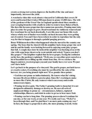 creates a strong root system, improves the health of the vine and most
importantly, increasesthe yield.
A watcheda video this week about a vineyard in California that covers 30
acres and learned that it takes 500 man-hours to prune 13,000vines. The wife
of the gardenerof the GreatVine in England spends about three months a
year scraping branches with a knife in order to remove loose flakes ofbark.
She does this because grapevines have numerous parasites. Pruning must take
place in order for grapes to grow. Deadwoodmust be ruthlessly removed and
live woodmust be cut back drastically. I saw this near our house this week
when a whole row of bushes were totally cut back because they were getting
out of control. You and I have been reborn in order to reproduce but the only
way for that to happen is through a painful purging process.
Bruce Wilkinson describes whathappened when he moved to the country one
spring. The fence that he shared with his neighbor had a large grape vine on it
and he and his family were looking forward to enjoying some juicy grapes
that fall. A couple days later he noticed his neighbor was hacking awayat the
vine with some large shears so he went outside and asked, “Iguess you don’t
like grapes?”The neighbor replied that he loves grapes. Seeing the confusion
on his face, the gardenerexplained, “Well, son, we can either grow ourselves a
lot of beautiful leaves filling up this whole fence line. Or we canhave the
biggest, juiciest, sweetestgrapes youand your family have ever seen. We just
can’t have both.”
Let’s go back to the purpose of a vineyard. The goalis grapes, not lush leaves
or creative colors. Everything else must be sacrificedfor the sake ofthe
harvest. Are you being pruned right now? If so, ponder these points:
• God does not prune us indiscriminately. He knows what He’s doing
because He always follows a precise plan. Since He’s working to make
us more like Christ, He only removes what is necessaryand avoids
unnecessaryinjury.
• Pruning involves pain. The Father’s pruning knife is sharp but it is not
designedto ultimately damage or destroy us. He uses all sorts of
unpleasant things to prune us – circumstances, failures, ruptured
relationships, illnesses, and trials in order to get us to bear more fruit.
• Pruning can last a long time. The pruning process doesn’tcontinue for
one day, or for one week, orone year. We really can’t say, “Well, I’ve
been through that, and I’m glad there’s no more pain coming my way.”
In fact, the longer a grapevine is alive, the more pruning it needs. Some
 