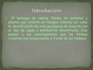 ¿Qué es la evolución y  dónde comienzan las teorías evolucionistas?
