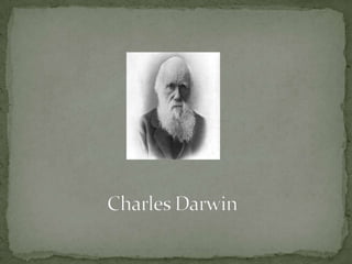 Mapa conceptual Contenido