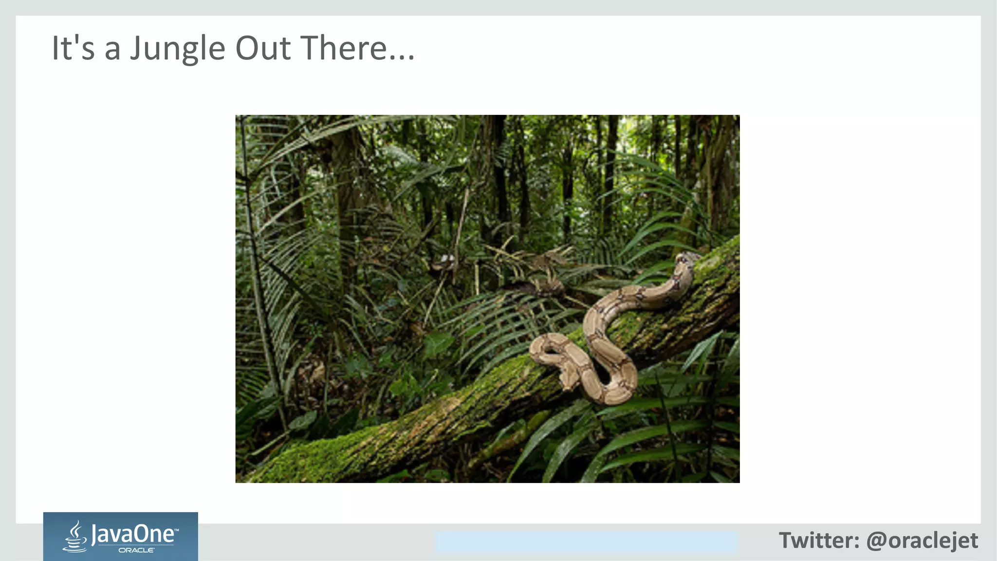 Copyright © 2014, Oracle and/or its affiliates. All rights reserved.
It's a Jungle Out There...
Twitter: @oraclejet
 
