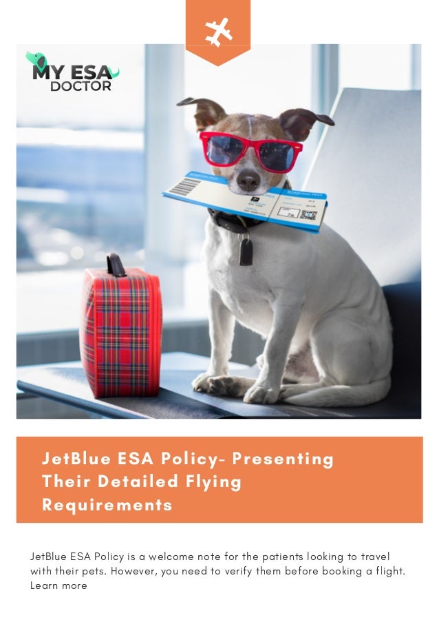 jetblue pet reservation