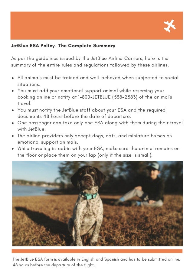 jetblue dog fee