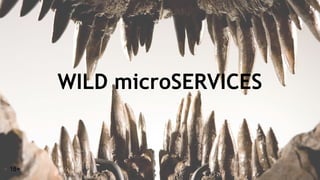 WILD microSERVICES
18+
 