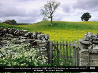 …angoissé ou mal dans ta peau, représentent UNE MINUTE de bonheur qui ne reviendra jamais !!!   MON
                                 MESSAGE D’AUJOURD’HUI EST :
 