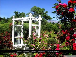 Danse ! Embrasse ! Relaxe-toi ! Divertis-toi ! Et sois heureux !!!!
 