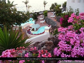 Aujourd’hui est le jour des gens FOR-MI-DA-BLES !!! Comme TOI !!!!
 