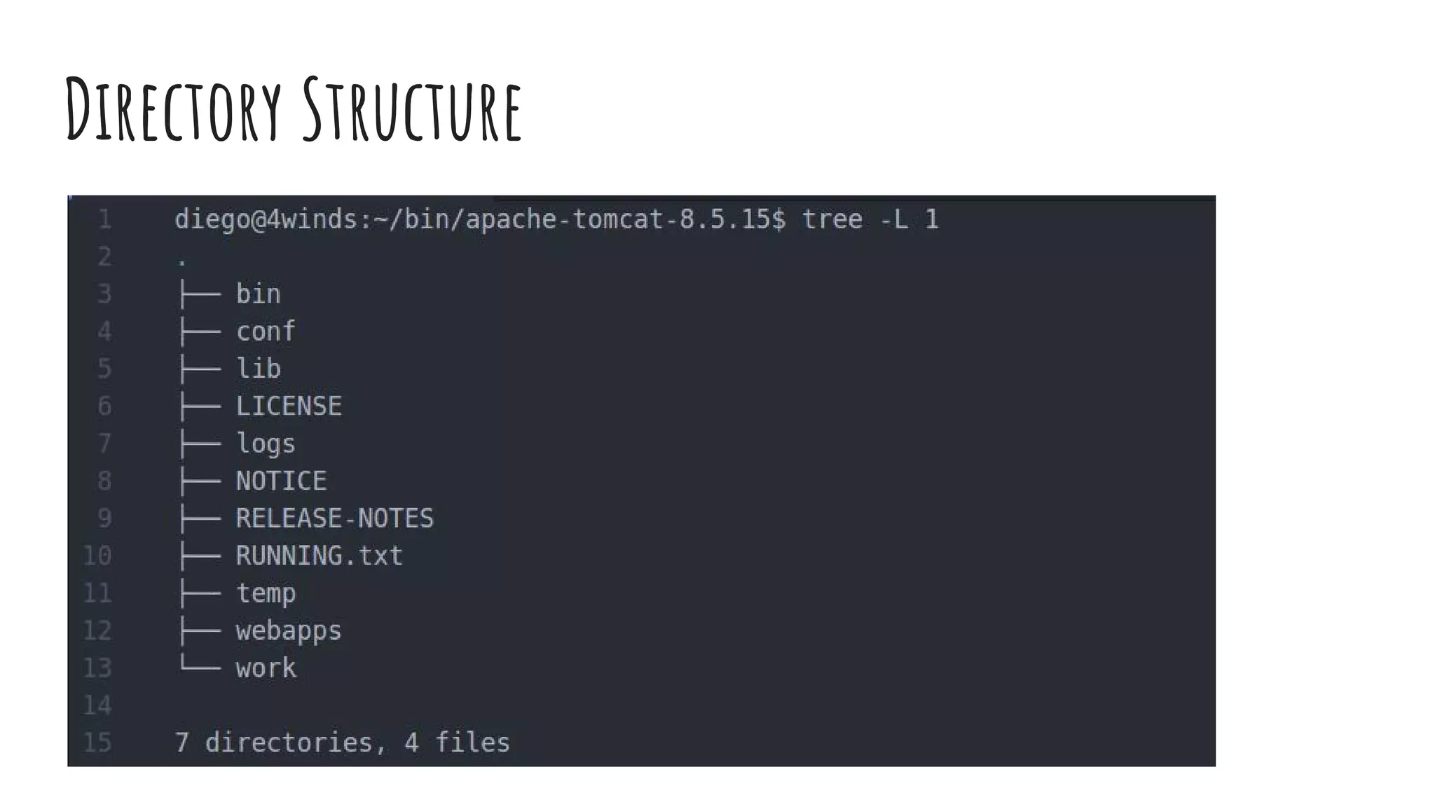 Directory Structure