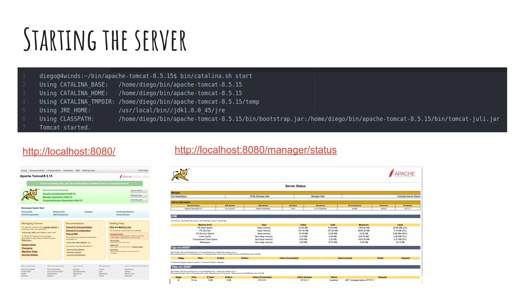 Starting the server
http://localhost:8080/ http://localhost:8080/manager/status