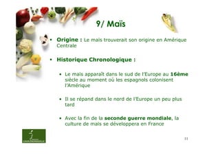 9/ Maïs
Origine : Le maïs trouverait son origine en Amérique
Centrale


Historique Chronologique :

• Le maïs apparaît dans le sud de l’Europe au 16ème
  siècle au moment où les espagnols colonisent
  l’Amérique

• Il se répand dans le nord de l’Europe un peu plus
  tard

• Avec la fin de la seconde guerre mondiale, la
  culture de maïs se développera en France


                                                      11
 