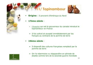 11/ Topinambour
Origine : Il provient d’Amérique du Nord

17ème siècle :

 •   Champlain qui est le gouverneur du canada introduit le
     topinambour en France

 • Il fut cultivé et accepté immédiatement par les
   français au contraire de la pomme de terre


19ème siècle :

 • Il disparaît des cultures françaises remplacé par la
   pomme de terre

 • On l’a néanmoins vu réapparaître en période de
   disette comme lors de la seconde guerre mondiale
                                                          13
 