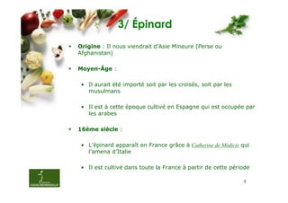 3/ Épinard
Origine : Il nous viendrait d’Asie Mineure (Perse ou
Afghanistan)

Moyen-Âge :

 • Il aurait été importé soit par les croisés, soit par les
   musulmans

 • Il est à cette époque cultivé en Espagne qui est occupée par
   les arabes

16ème siècle :

 • L’épinard apparaît en France grâce à Catherine de Médicis qui
   l’amena d’Italie

 • Il est cultivé dans toute la France à partir de cette période

                                                              5
 