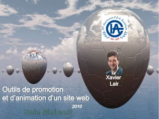 Xavier LairOutils de promotionet d’animation d’un site web2010Baie Mahault