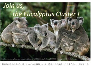 Join us,
      the Eucalyptus Cluster !




http://www.nwf.org/News-and-Magazines/National-Wildlife/Animals/Archives/2007/Will-Urban-Sprawl-KO-the-Koala.aspx


基本的になかよしですが、ときどきお昼寝したり、爪をたてて反抗したりするのは仕様です。
 