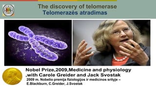 The discovery of telomerase
Telomerazės atradimas
2009 m. Nobelio premija fiziologijos ir medicinos srityje –
E.Blackburn, C.Greider, J.Svostak
 