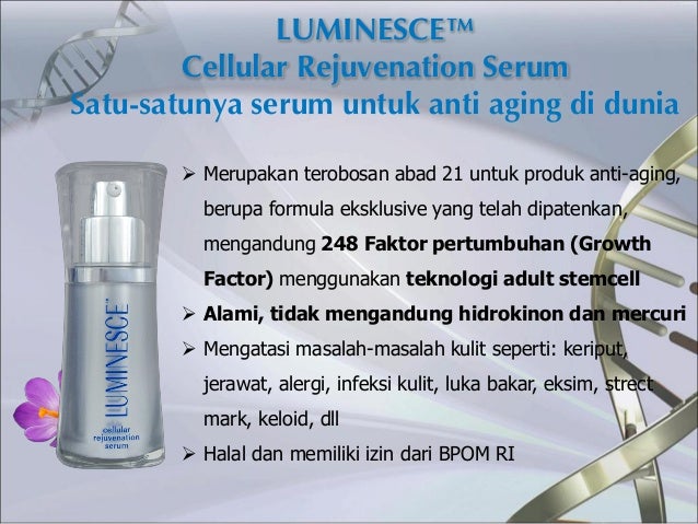 Peluang Bisnis Terbaik