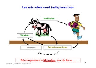 11Caddie Frais® - un jeu du CIPE, Paris - Tous Droits Réservés
Décomposeurs = Microbes, ver de terre …
Déchets organiquesMinéraux
Herbivores
Végétaux
Les microbes sont indispensables
 