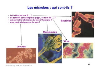 12Caddie Frais® - un jeu du CIPE, Paris - Tous Droits Réservés
Les microbes : qui sont-ils ?
• la Listéria est une B … ?
• ils donnent par exemple la grippe, ce sont les … ?
• qui permet la fabrication du bleu d'Auvergne ?
• avec quoi fabrique-t-on du pain ?
Bactéries
Virus
Moisissures
Levures
 