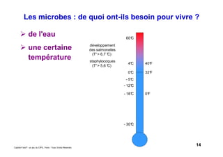 14Caddie Frais® - un jeu du CIPE, Paris - Tous Droits Réservés
Les microbes : de quoi ont-ils besoin pour vivre ?
de l'eau
une certaine
température
- 5°C
- 12°C
- 18°C
- 30°C
développement
des salmonelles
(T°> 6,7 °C)
staphylocoques
(T°> 5,6 °C)
0°C
4°C
60°C
0°F
32°F
40°F
 