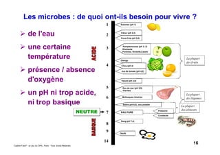 16Caddie Frais® - un jeu du CIPE, Paris - Tous Droits Réservés
Les microbes : de quoi ont-ils besoin pour vivre ?
de l'eau
une certaine
température
présence / absence
d'oxygène
un pH ni trop acide,
ni trop basique
Estomac (pH 1)
Citron (pH 2,3)
Coca-Cola (pH 2,8)
Pamplemousse (pH 3, 2)
Rhubarde
Pommes, Groseile,Cassis
Orange
Chou (pH 4)
Oeufs
Jus de tomate (pH 4,2)
Sang (pH 7,4)
Salive (pH 6,5), eau potable
Mollusques bivalves
Eau de mer (pH 5,5)
Viandes
La plupart
des fruits
La plupart
des légumes
La plupart
des aliments
NEUTRE
1
2
3
4
5
6
7
8
9
14
Poissons
Crustacés
Yaourt (pH 4,5)
EAU PURE
 