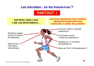 19Caddie Frais® - un jeu du CIPE, Paris - Tous Droits Réservés
PARTOUT !
Les micro-organismes et les nuisibles
affectionnent particulièrement
le désordre, la saleté, les poubelles
Les microbes : où les trouve-t-on ?
Front de 10.000 à 1.000.000
bactéries/cm2
Cuir chevelu environ
1 million de bactéries/cm2
Aisselles de 1 à 10 millions
de bactéries/cm2
Mains de 100 à 1 000 bactéries/cm2
Sécrétions nasales
environ 10 millions
de bactéries/g
Salive environ
100 millions
de bactéries/g
SUR NOUS, DANS L'EAU,
L'AIR, LES REVÊTEMENTS …
 