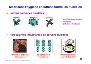 28Caddie Frais® - un jeu du CIPE, Paris - Tous Droits Réservés
Maîtrisons l'hygiène en luttant contre les nuisibles
Luttons contre les nuisibles
Insectes Rongeurs Oiseaux
• prolifèrent rapidement
• ravageurs
• difficilesà éradiquer
Particularités inquiétantes de certains nuisibles
Porteurs de bactéries
pathogènes
Se reproduisent
rapidement
Matières premières
et produits avariés
 