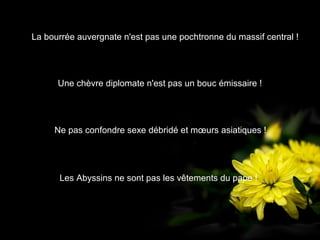 La bourrée auvergnate n'est pas une pochtronne du massif central !
Une chèvre diplomate n'est pas un bouc émissaire !
Ne pas confondre sexe débridé et mœurs asiatiques !
Les Abyssins ne sont pas les vêtements du pape !
 