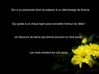 Qui a un parachute doré se prépare à un atterrissage de fortune.




Qui goûte à un chaud lapin peut connaître l'amour du râble !



  Un discours de dame pipi donne souvent un récit pissé.




              Les mots rendent les cris vains.
 