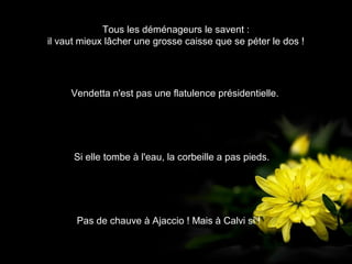 Tous les déménageurs le savent :
il vaut mieux lâcher une grosse caisse que se péter le dos !




     Vendetta n'est pas une flatulence présidentielle.




      Si elle tombe à l'eau, la corbeille a pas pieds.




      Pas de chauve à Ajaccio ! Mais à Calvi si !
 