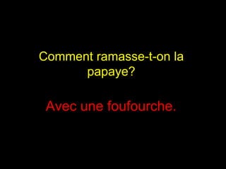 Comment ramasse-t-on la  papaye?  Avec une foufourche.  